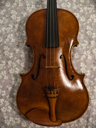 Viola profesional del luthier alemán Falk Peters