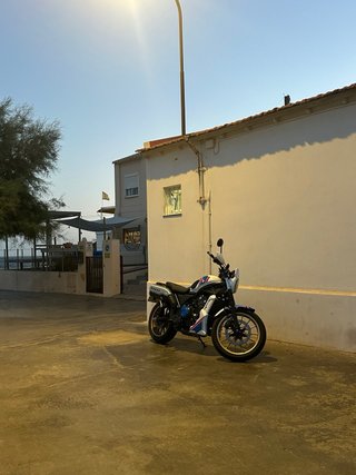 Honda CL500 Gold bull