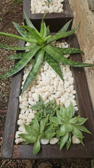 Jardineras Artesanales de Madera