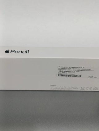 Apple Pencil 2.ª Generación USBC