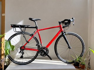 Bicicleta de Carretera Roja
