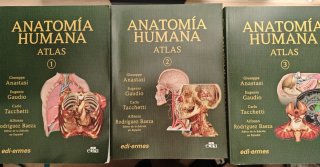 3 Libros anatomia