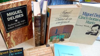 Lote 12 libros Miguel Delibes: mundo en agonía,...
