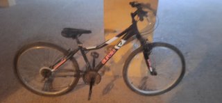 Bicicleta Aurelia Negra
