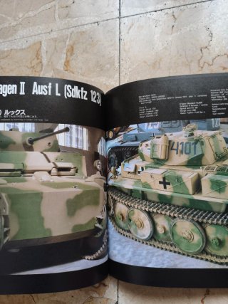 Libri Achtung Panzer e Panzer a Saumur