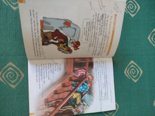 Libro de lectura ingles