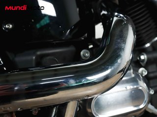 HARLEY DAVIDSON SOFTAIL STANDARD 107