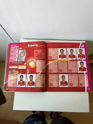 álbum brasil 2014