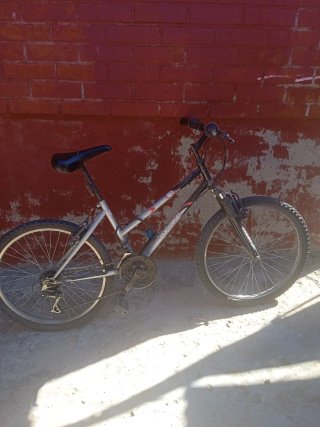 Bicicleta de Montaña Topbike