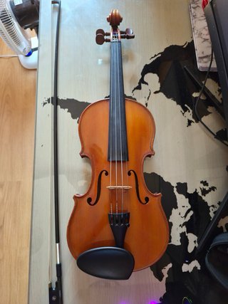 Violín con funda y arco