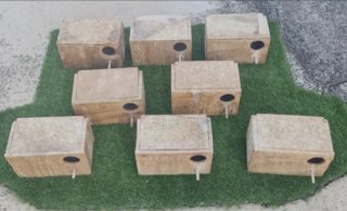 Nidos para agapornis
