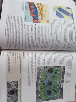 BIOLOGIA 1 BATXILLERAT LA CASA DEL SABER CATALA...