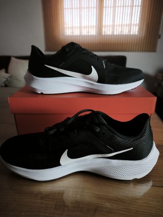 Zapatillas Nike Pegasus 40