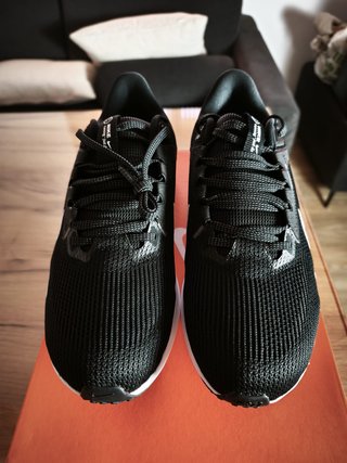 Zapatillas Nike Pegasus 40