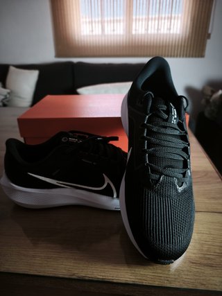 Zapatillas Nike Pegasus 40