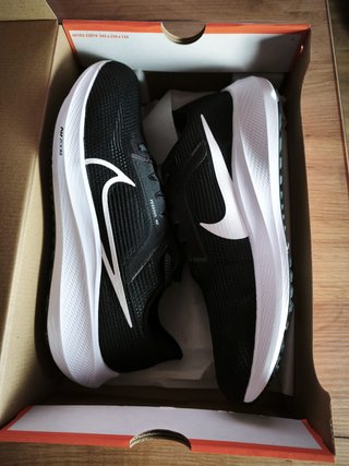 Zapatillas Nike Pegasus 40