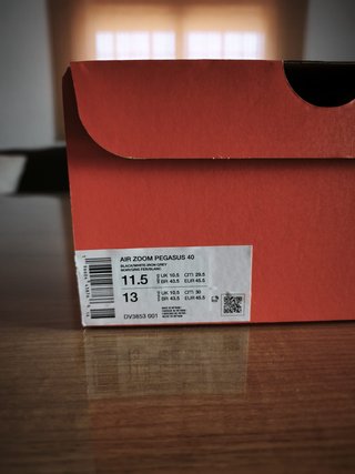 Zapatillas Nike Pegasus 40