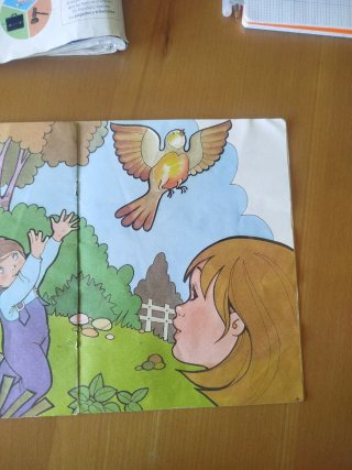 El pajarito agradecido