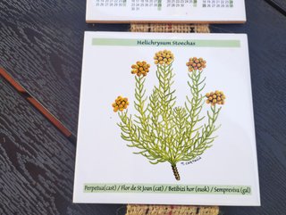 Calendario Azulejos Bayer 2017 Hierbas y plantas