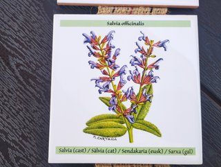 Calendario Azulejos Bayer 2017 Hierbas y plantas