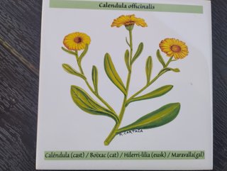 Calendario Azulejos Bayer 2017 Hierbas y plantas