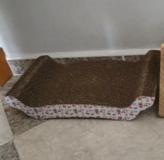 Rascador para gatos
