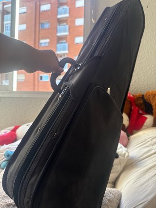 Violín Rosa con Estuche