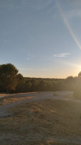 Se alquila piso en San Martín de la vega