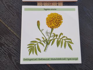 Calendario Bayer 2018 Azulejos Flores