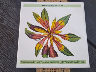 Calendario Bayer 2018 Azulejos Flores