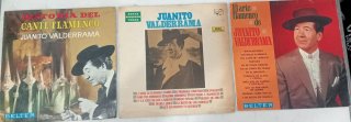 Lote 9 Vinilos LP Flamenco