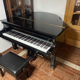 Piano de cola Feurich 161 Professional I