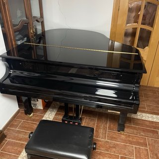 Piano de cola Feurich 161 Professional I