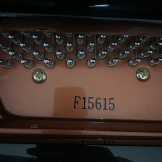 Piano de cola Feurich 161 Professional I