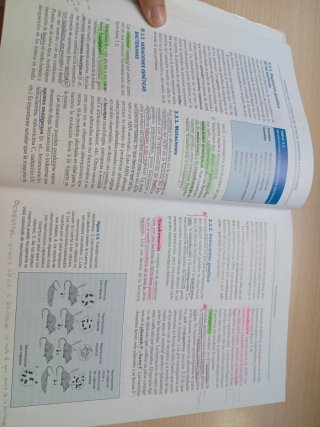 Microbiología en Ciencias de la Salud