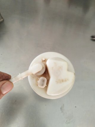 Bomba de gasolina Yamaha YZF 250/450 2017
