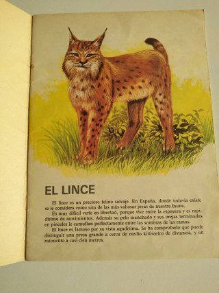 3 libros de la colección " Mi primer libro de'