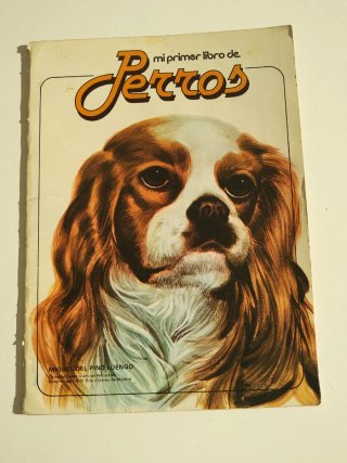 3 libros de la colección " Mi primer libro de'