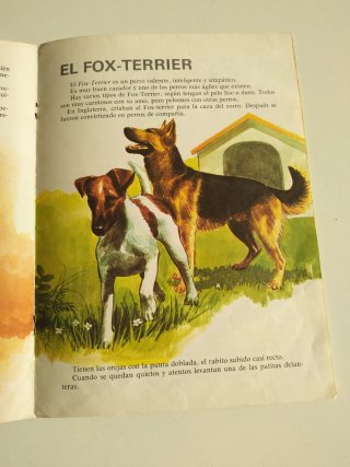 3 libros de la colección " Mi primer libro de'