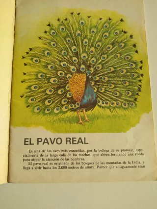 3 libros de la colección " Mi primer libro de'