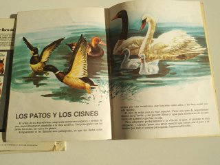 3 libros de la colección " Mi primer libro de'