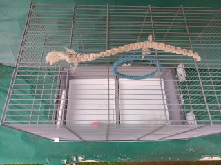 Jaula Grande para Aves