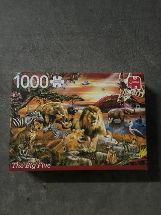 Pack 2 Puzzles 1000 Piezas Educa