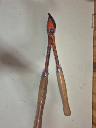Tijeras de podar antiguas