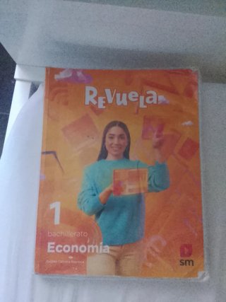 1 Bachillerato, Economía Revuela