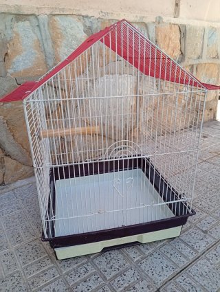 Gabbia per uccelli