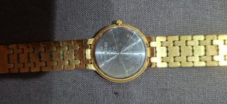Reloj Dogma Chapado en Oro