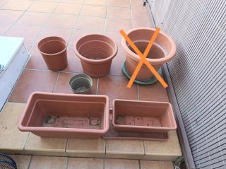 Lote de 5 Macetas y Jardineras