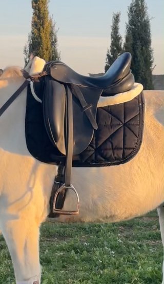 Silla de Doma Inglesa Neuss zaldi