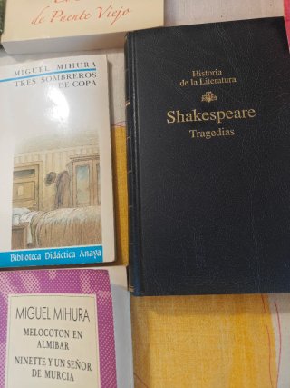 Lote de 7 Libros de Literatura